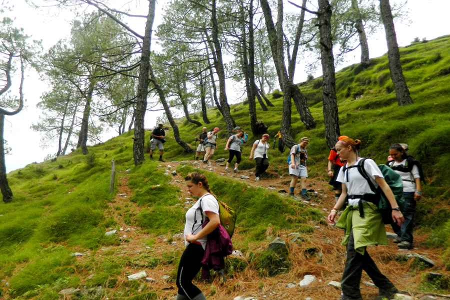 Triund Dharamshala Trekking Tour